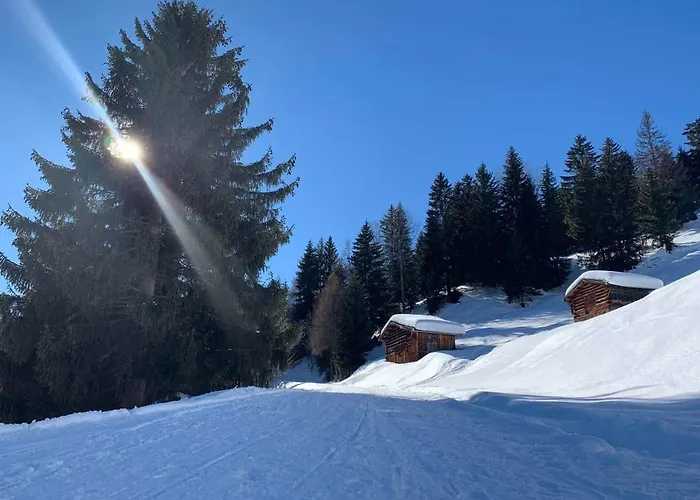 Wei Wei's Хостел